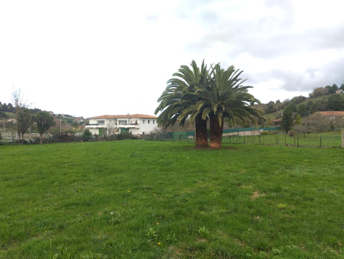 Las Palmeras Hotell Gijón Exteriör bild